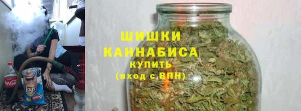 ECSTASY Белокуриха