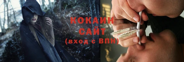 ECSTASY Белокуриха